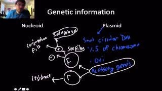 Microbiology Bacterial Cell Structure and function 1 [upl. by Eigger366]