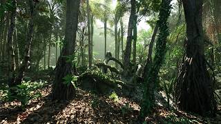 4K Photorealistic Tropical Rainforest in Unreal Engine 5  Relaxing Cinematic Tour [upl. by Enitsirt]