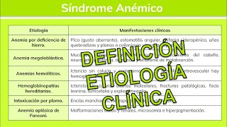 ⚕️🩺 Síndromes Hematológicos SÍNDROME ANÉMICO Y SÍNDROME HEMORRÁGICO  Hematología [upl. by Tavish]