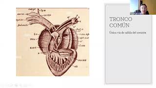 TRONCO ARTERIOSO DR BUEN DIA [upl. by Parent]