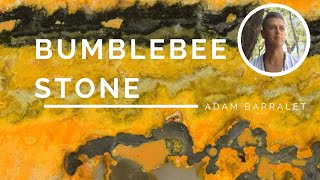 Bumblebee Stone  The Stone of Social Success [upl. by Qahsi77]