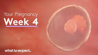 Ultrasound of normal early pregnancy [upl. by Carrillo]