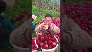 fruit naturallifeb satisfying naturalclips fruitcutting naturelife oddlysatisfying food [upl. by Ttenaej907]