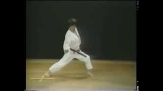 9 Bassai Dai Kata Faixa Marron Shotokan Karate [upl. by Nnoryt]