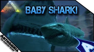 Ark Survival Evolved  BABY MEGALODON  Ocean Breeding Mod  Aquatic and Amphibious Mating [upl. by Mart467]