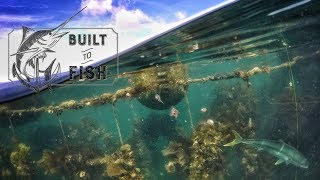 Built to Fish Ep 04 The Coromandel Mussel Farms [upl. by Mahala]