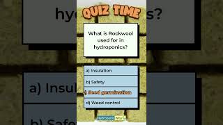 Use of rockwool in hydroponics hydroponicway hydroponics shorts quiz quiztime sustainable [upl. by Aserej539]