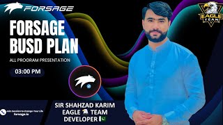 Forsage busd Complete plan By Sir Shahzad Karim Forsage in Pakistan [upl. by Renick]