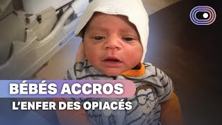 Mères addicts et bébés accros à la naissance [upl. by Meyers]