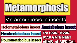 Metamorphosis  metamorphosis in insects types of metamorphosis hemimetabolous Ametabolous [upl. by Darce]