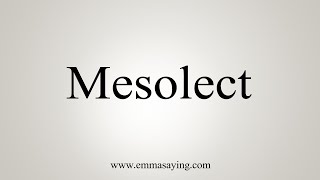 How To Say Mesolect [upl. by Crow444]