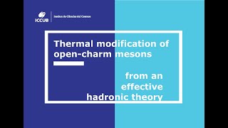 Webinar Thermal modification of opencharm mesons from an effective hadronic theory by G Montaña [upl. by Lati]