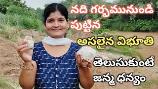 How To Make Vibhuthi In River  నది లో విభూతి తయారు మహిమ  Lakshmi Natural [upl. by Hildegarde]