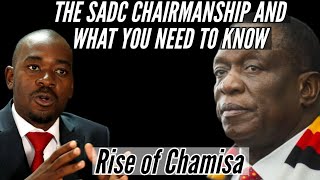 🟨The SADC Chairmanship  Rise of Chamisa  Coup 🇿🇼 [upl. by Fairfield]