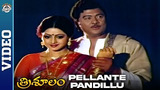 Trisulam Movie Songs  Pellante Pandillu Video Song  Krishnam Raju  Sridevi  Mango Paatha Paatalu [upl. by Phelgon712]