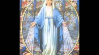 The Healing with Mother Mary Meditation  Sarah Hall [upl. by Dnomse]