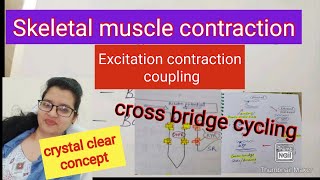 Mechanism of skeletal muscle contractionexcitation contraction coupling [upl. by Hartnett]