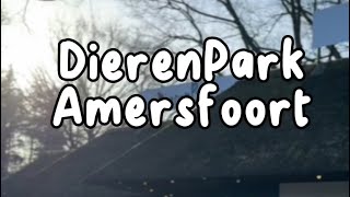 DierenPark Amersfoort 2024 [upl. by Jilleen268]