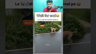 Le Mu💦t diya Tere Romantic Reels Pe 😂😭 shorts funnydogs trending reaction reactionvideo [upl. by Adnilrev]