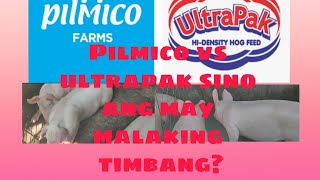 Pilmico vs Ultrapak na baboy sino ang mas malaki ang timbang [upl. by Akeret]