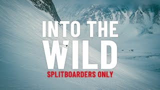 INTO THE WILD  an epic splitboard trip above the Arctic Circle [upl. by Enelec]