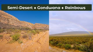 White Lion Lodge  Discovering Klein Karoo’s Wildlife and Prehistoric Gondwana landscape [upl. by Hildegaard]