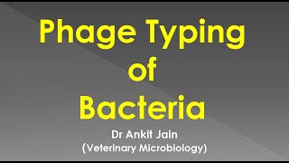 Phage Typing of Bacteria [upl. by Tinor]