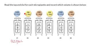 How to read and set micropipette [upl. by Aimekahs567]