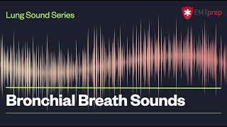 Bronchial Breath Sounds  EMTprepcom [upl. by Rachaba]