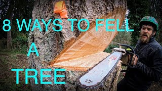 WORLDS BEST TREE FELLING TUTORIAL Way more information than you ever wanted on how to fell a tree [upl. by Releehw370]