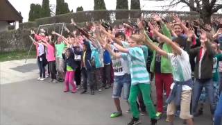 Pharrell Williams  Happy Schule Hirzel [upl. by Noswal]