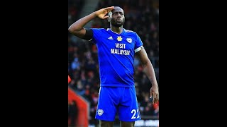 Sol Bamba Cardiff Fans Tribute Video [upl. by Nueormahc]