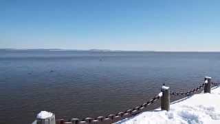 Susquehanna River Watershed Mouth at Havre de Grace Maryland [upl. by Anaiq537]