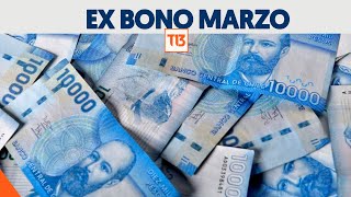 Comenzó el pago del Aporte Familiar Permanente El monto del ex Bono Marzo supera los 60 mil [upl. by Leunas289]