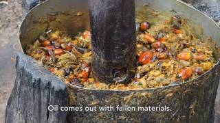 How Smallholder Farmers Process Palm Oil in Kigoma Tanzania [upl. by Llezom]