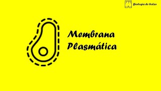 Membrana Plasmática [upl. by Eugnimod]