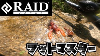 【RAID】フットマスターはやっぱり最強だったサムネはニッコークローですwww [upl. by Caputto]