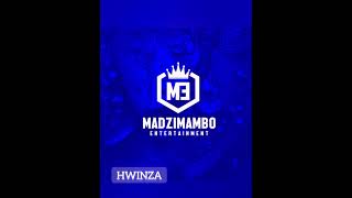 Hwinza  Hazvizoda MADZIMAMBO RIDDIM [upl. by Firahs]