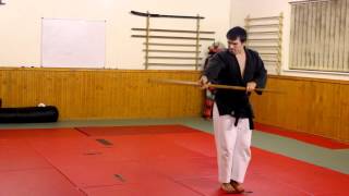 Kata SAKUGAWA NO KON  Matayoshi Kobudo [upl. by Divod]