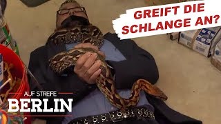 Chaos in der Zoohandlung Reptil ausgebrochen  Auf Streife  Berlin  SAT1 TV [upl. by Aeriell]