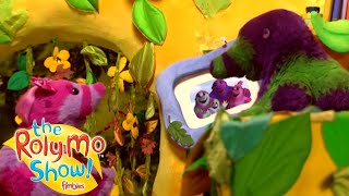 Roly Mo Show  Picture Hanging  Full Episodes  Videos For Kids  The Fimbles amp Roly Mo Show [upl. by Lecroy]