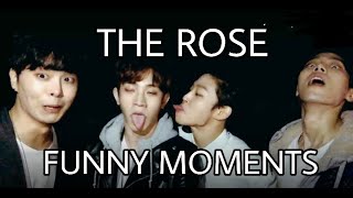 THE ROSE 더로즈 FUNNY MOMENTS [upl. by Oicaro]