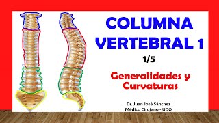 🥇 COLUMNA VERTEBRAL 15  Generalidades Curvaturas Fácil y Sencillo [upl. by Vanda]