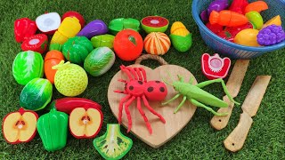 5 minutes Wooden and Plastic Fruit and Vegetable ASMR no talking [upl. by Davena]