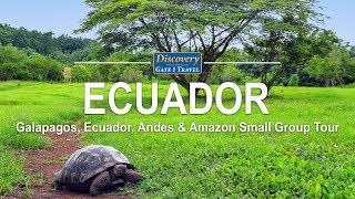 Discovery Tour of the Galapagos Ecuador Andes amp Amazon [upl. by Orelie]