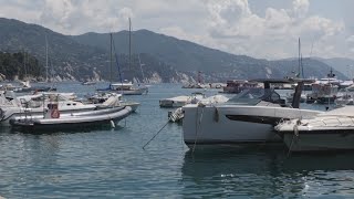 Inizia il fermo pesca per le acciughe nel Mar Ligure dopo una stagione non troppo positiva [upl. by Rivalee351]