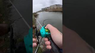 VIS AVONTUREN MET PAP 🤪 roofvissen fishingvideos snoekvissen hechtangeln vissen fishing [upl. by Annahsed]