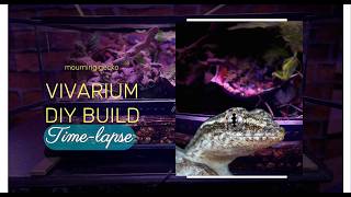 Mourning Gecko Terrarium Build reptiles terrarium vivarium [upl. by Aelyk]