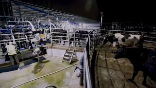 A Dairy System to Feel Confident In  DeLaval Rotary E100  DeLaval [upl. by Letnwahs]