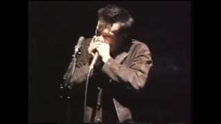 Howlin Wilf  Baby Please Dont Go  Live at the Town amp Country London UK 1987 [upl. by Ahilam342]